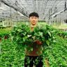 绿芯彤园艺抖音达人头像