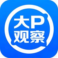 观察员大P抖音达人头像