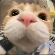 光Sir抖音达人头像