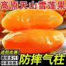 雪莲果（基地直发）抖音达人头像