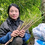 大山里的阿丽抖音达人头像