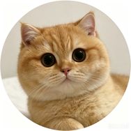 刘云朵喵喵喵抖音达人头像