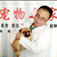 洪源兽医张哥抖音达人头像