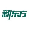新东方英语规划高阶抖音达人头像