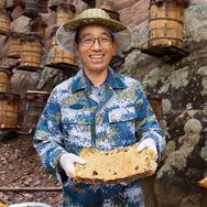 深山蜂谷养蜂场直播号抖音达人头像