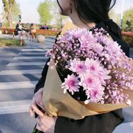 沐楚花卉