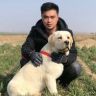 养狗狗的（赵弟）抖音达人头像