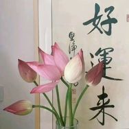 浩哥幸福一家人。抖音达人头像