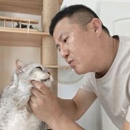 韩哥不撸猫抖音达人头像