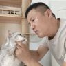 韩哥不撸猫抖音达人头像