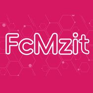 FcMzit海外旗舰店抖音号头像