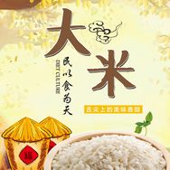 米香东北（真正的五常大米）抖音达人头像