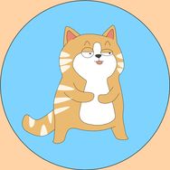 聚猿创团队橘猫老板抖音达人头像