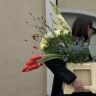 里里的植与花抖音达人头像
