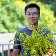 植物识别与妙用抖音达人头像