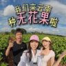 山野编辑部抖音达人头像
