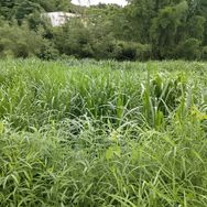 心界图书抖音达人头像