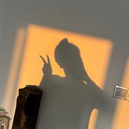 野生叶子🌱抖音达人头像