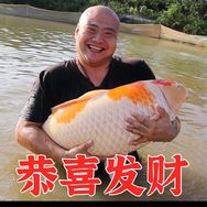 光头学锦鲤抖音达人头像