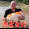 光头学锦鲤抖音达人头像