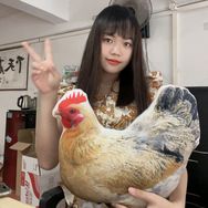 广西养禽发禽苗批发部-小杨抖音达人头像