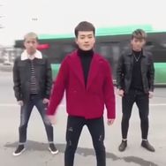 摇摆阳抖音达人头像