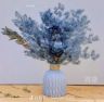 昆明花妍馨花卉抖音达人头像