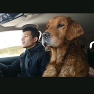 小迟和流浪狗的故事抖音达人头像