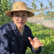 才子农业抖音达人头像