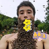 蜂博主抖音达人头像