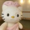 高冷猫抖音达人头像