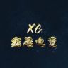 鑫晨游戏王者皮肤贵族小店抖音达人头像