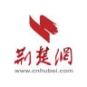荆楚网抖音达人头像