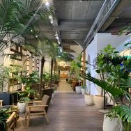 轻氧生活(绿植仓抖音号头像