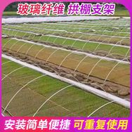 玻璃纤维拱棚杆生产厂家抖音达人头像