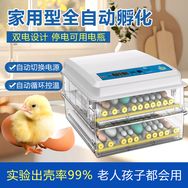 博实孵化器0基础成功孵化抖音号头像