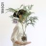 元气植物园抖音达人头像