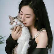 西西李的猫抖音达人头像