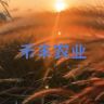 禾丰农业抖音达人头像