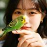 秋宠月宠物抖音达人头像