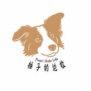 柚子的边牧（鉴定边牧）抖音达人头像