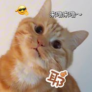 米粒呀抖音达人头像