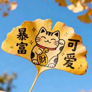 爆爆水蜜桃抖音达人头像
