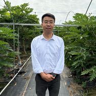 王伟乡村助农抖音达人头像
