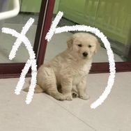 十五快乐每一天抖音达人头像