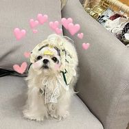 neinei奶fufu☁️抖音号头像