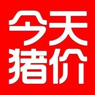 生猪报价抖音达人头像