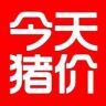 生猪报价抖音达人头像