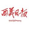 西藏日报抖音达人头像
