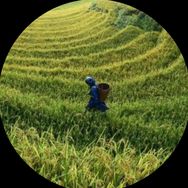 富龟有鱼抖音达人头像